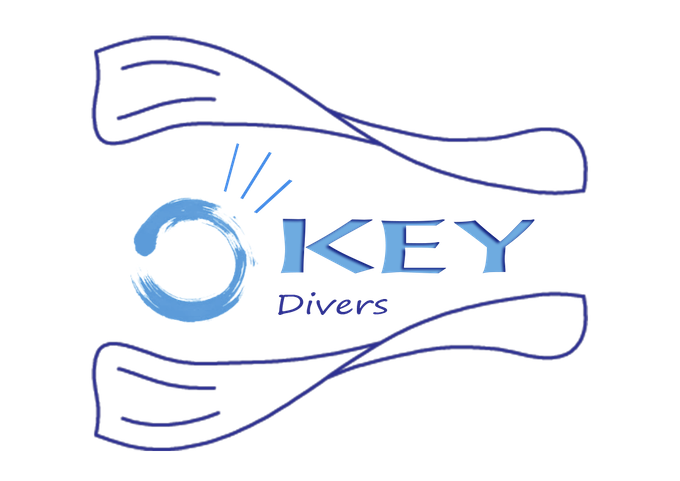 Okey Divers